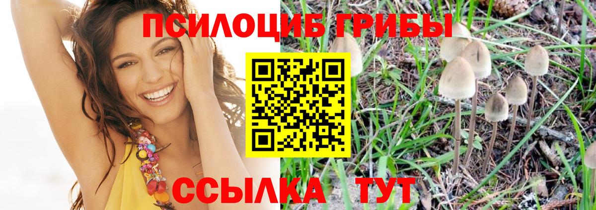 Алексеевка  Псилоцибиновые грибы MAGIC MUSHROOMS  Вход с VPN 
